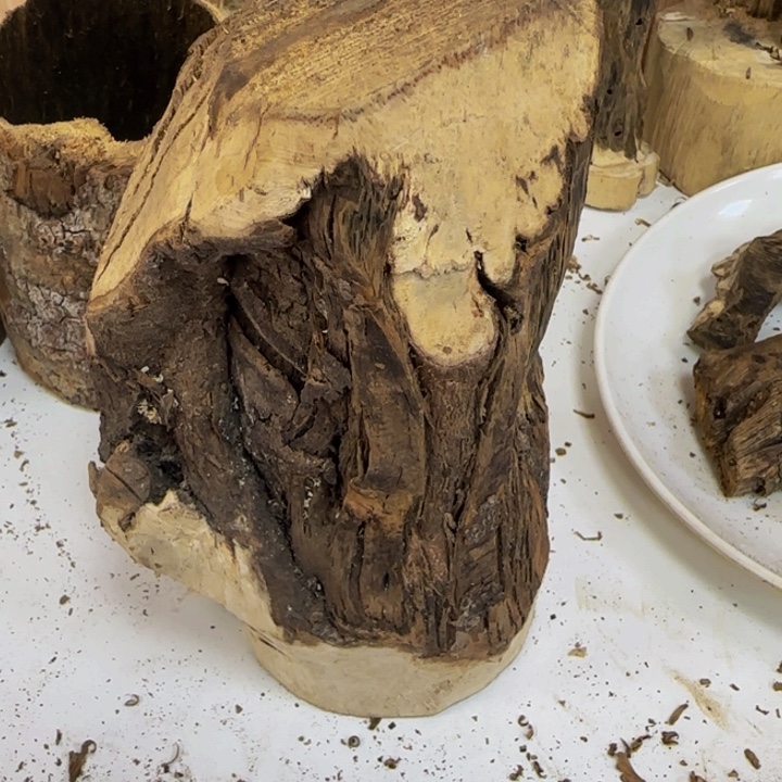 线香棋楠树头皮油原木！