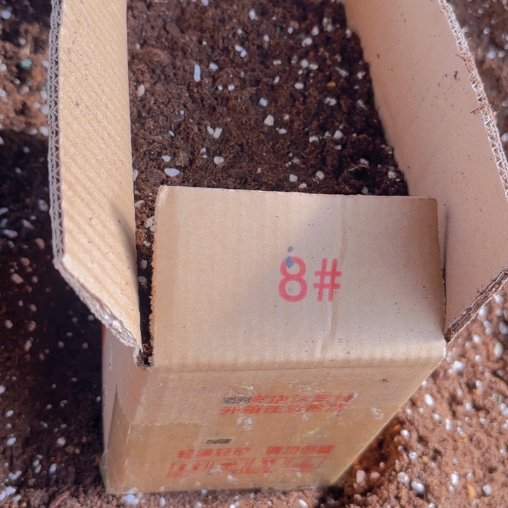多肉泥碳颗粒土体验装8号箱1箱