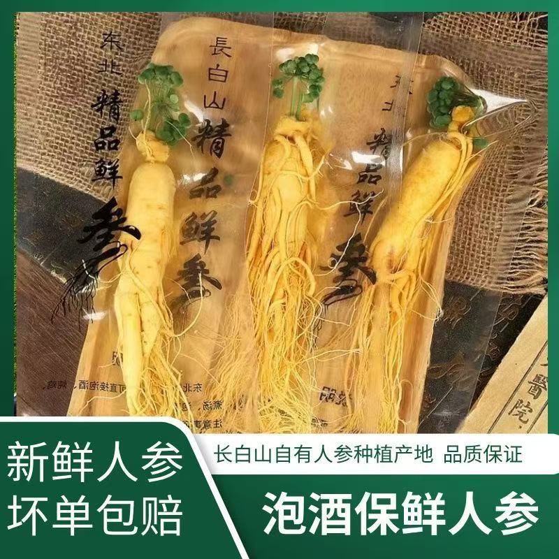 正宗长白山新鲜保鲜人参东北特产可煲汤泡酒5年份大人参