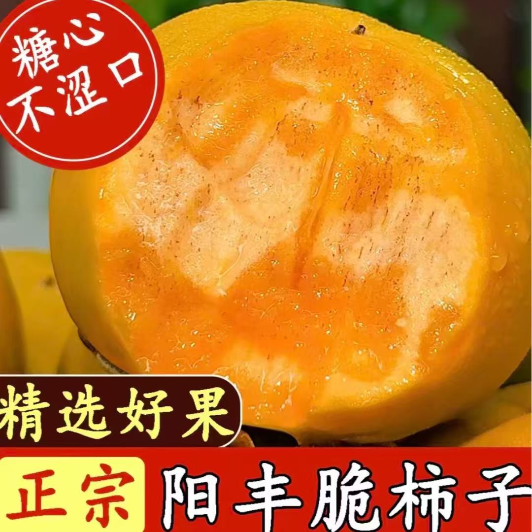 正宗阳丰巧克力脆柿新鲜无核无籽现摘现发