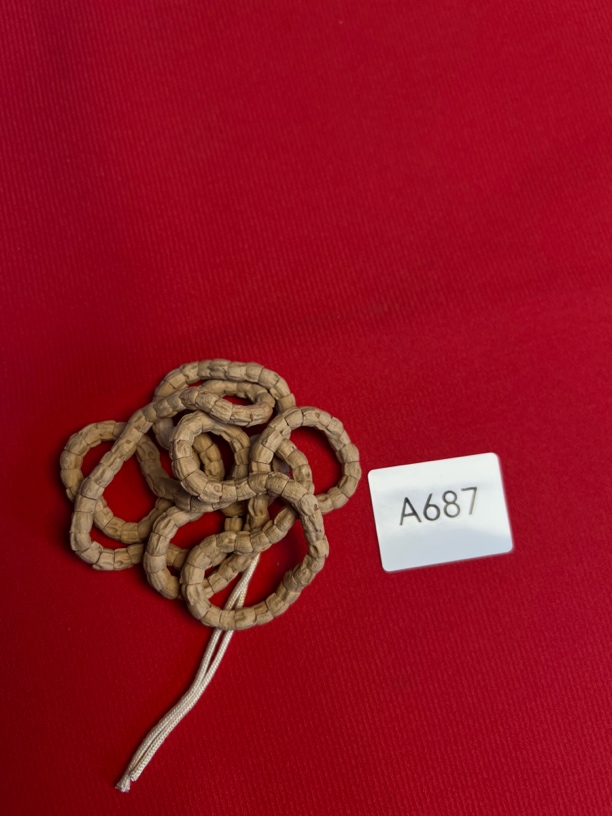 热振柏香籽 粉皮高筒大肠 A687