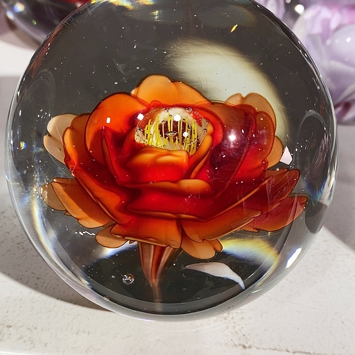 慧**心2365523553325536555558