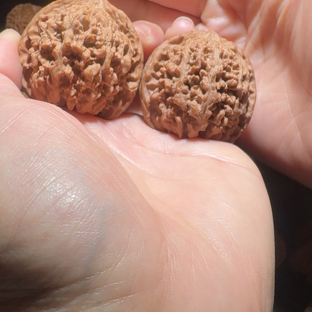 木质类漫天星43全品