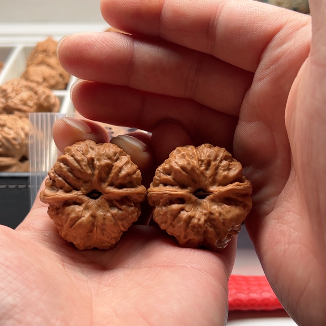 核桃把件延庆蛤蟆头