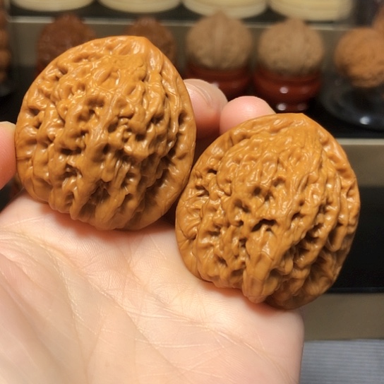 福利：原桩金公子