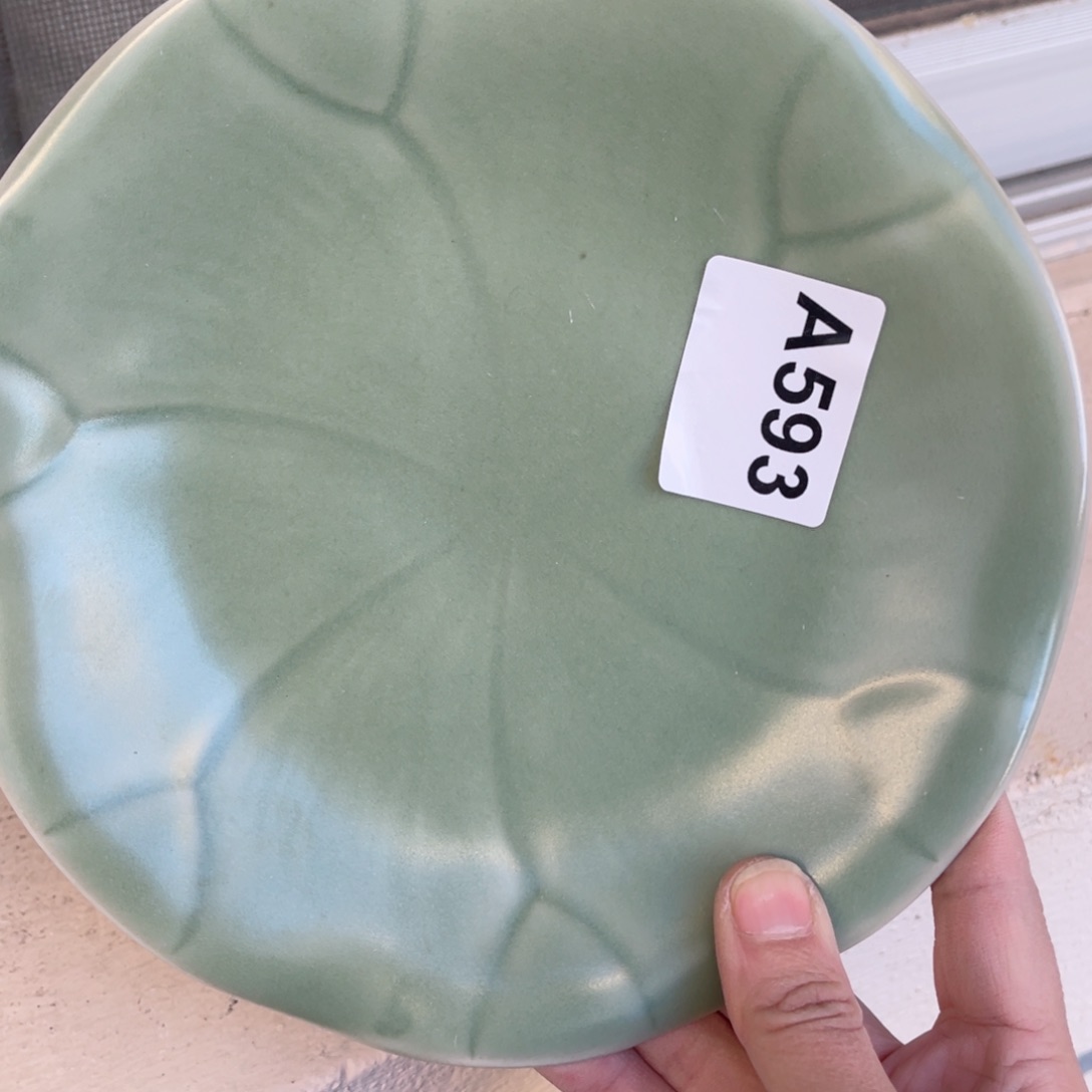 杯哈哈哈哈哈哈哈哈