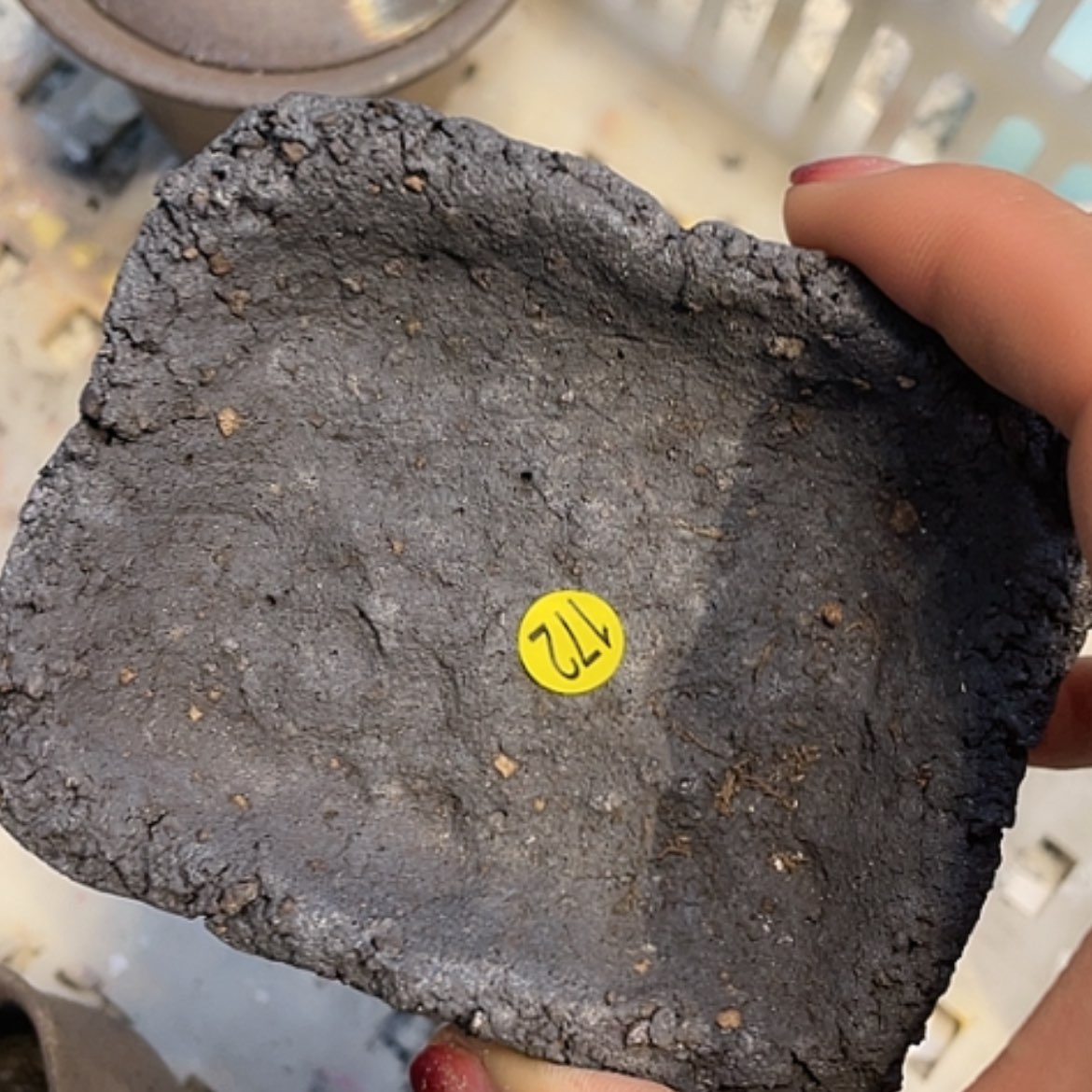 【闪购商品】新年快乐福利福利福利福利