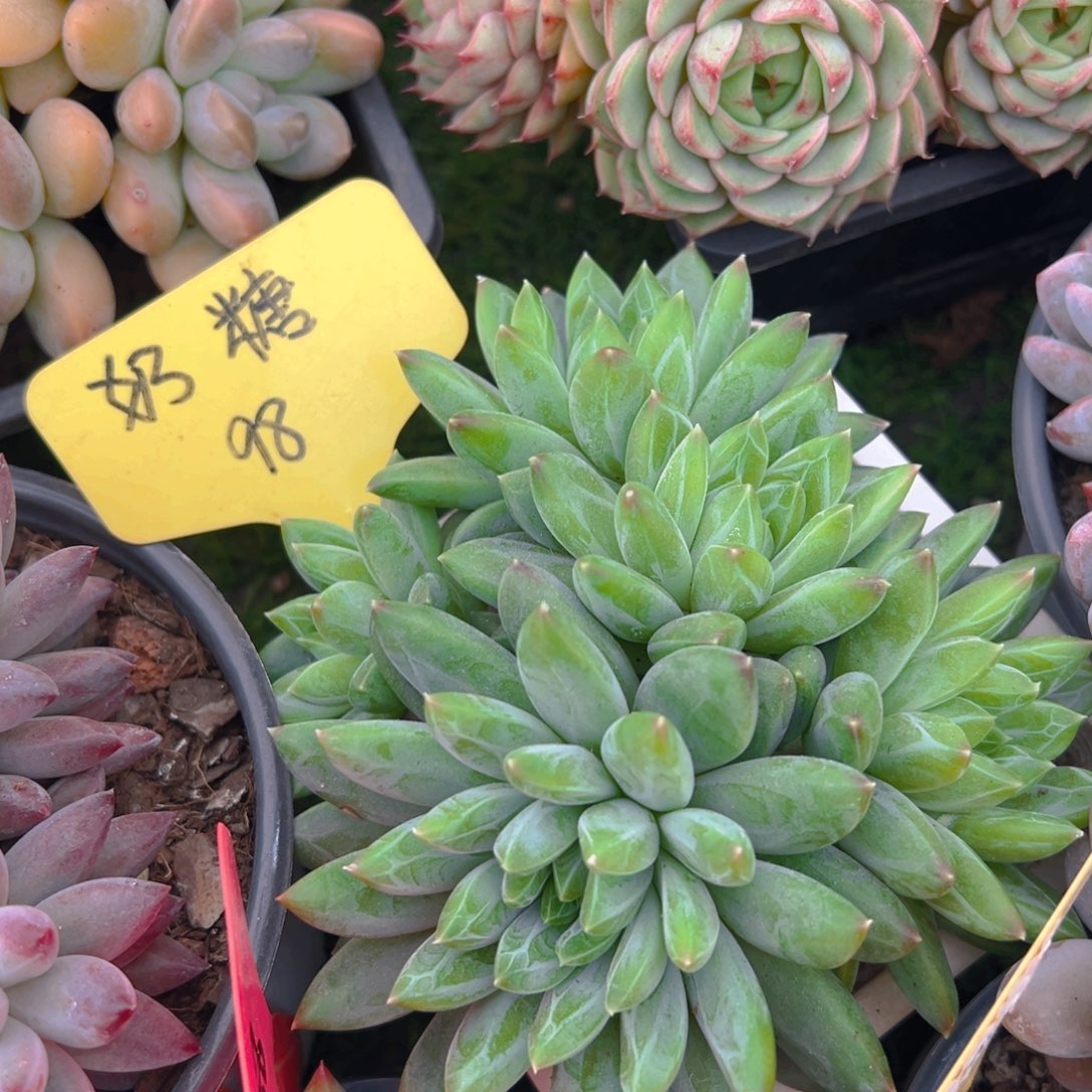 福利来了来了来了来啦