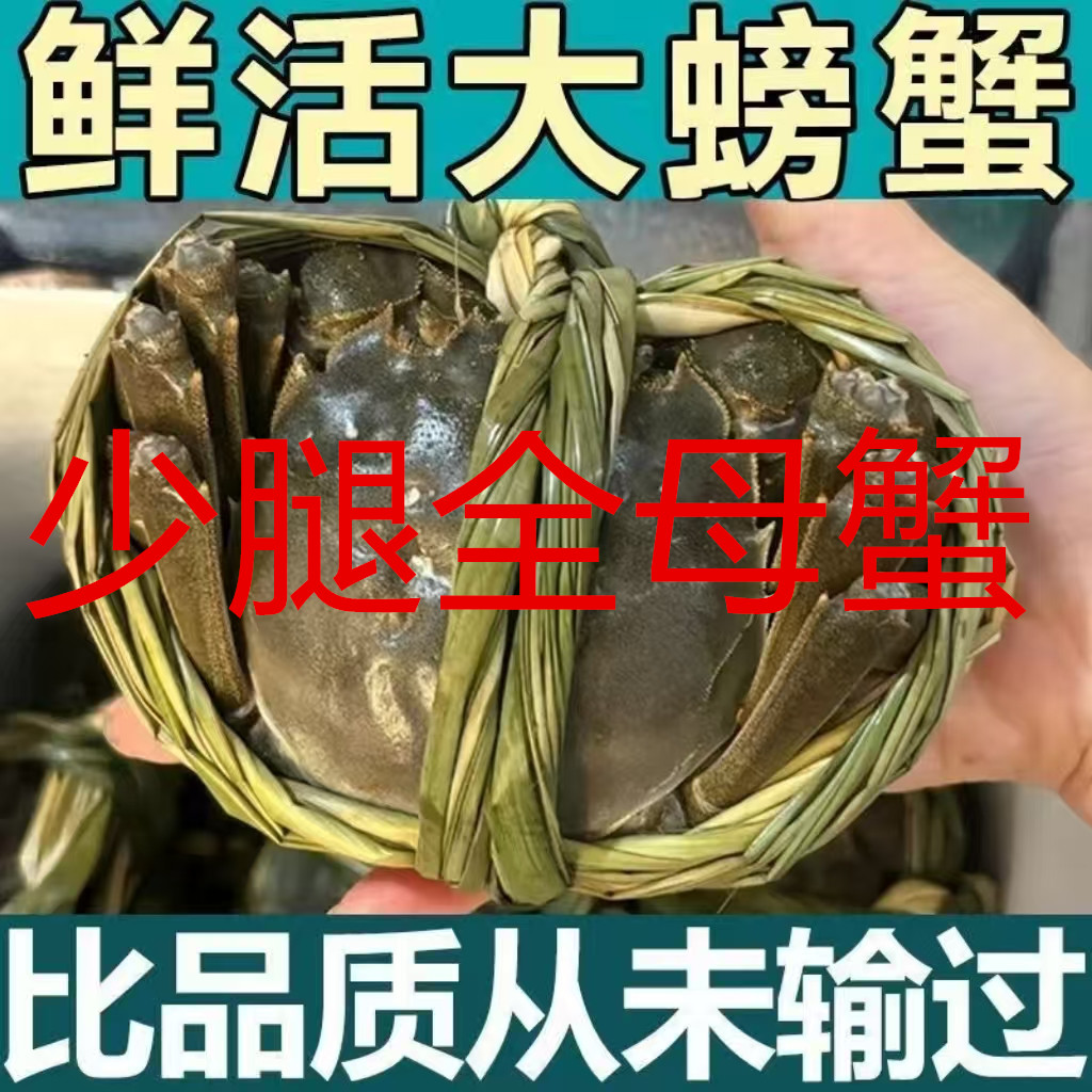 【活蟹】精品大闸蟹全母2.0-2.3两9-12只鲜活2斤装少腿蟹鲜活大螃蟹