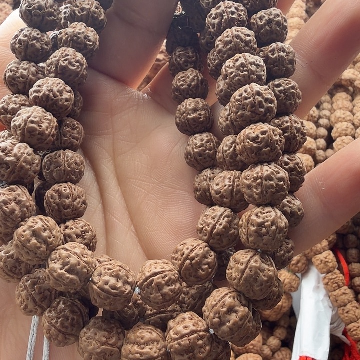 怪***谈吊坠金刚菩提老树梅花10左右