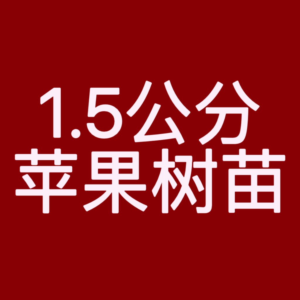 精品1.5公分苹果树苗现挖现卖南北方地栽盆栽果园批量种植