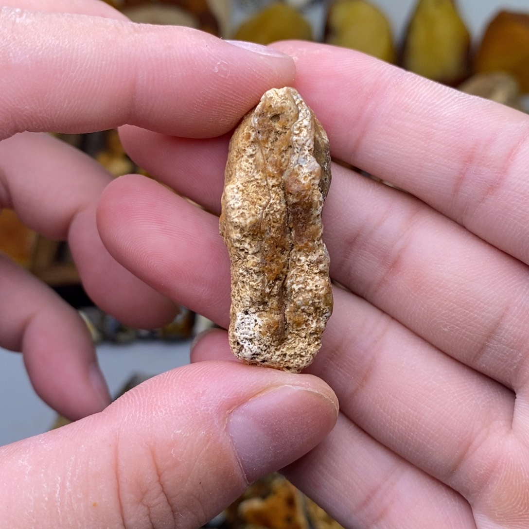 酒***酒定制琥珀天然蜜蜡