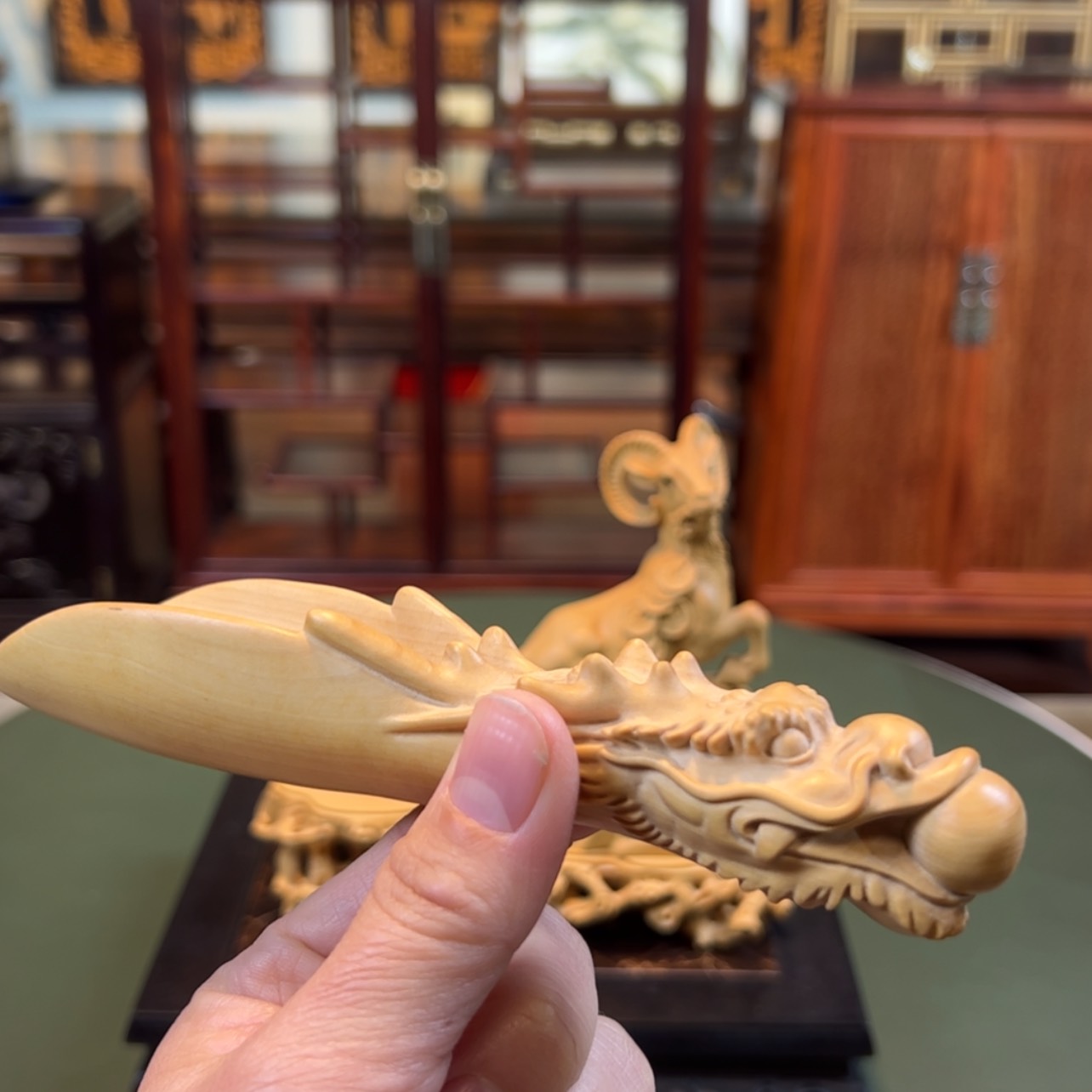 【闪购商品】黄杨木其他黄杨木