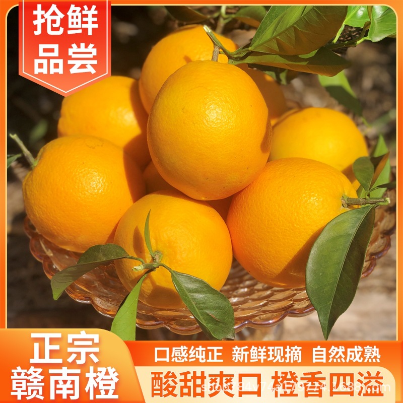 江西赣南脐橙(大果)，新鲜纯甜，无仔无渣，整件框装，娄底同城配送到家。