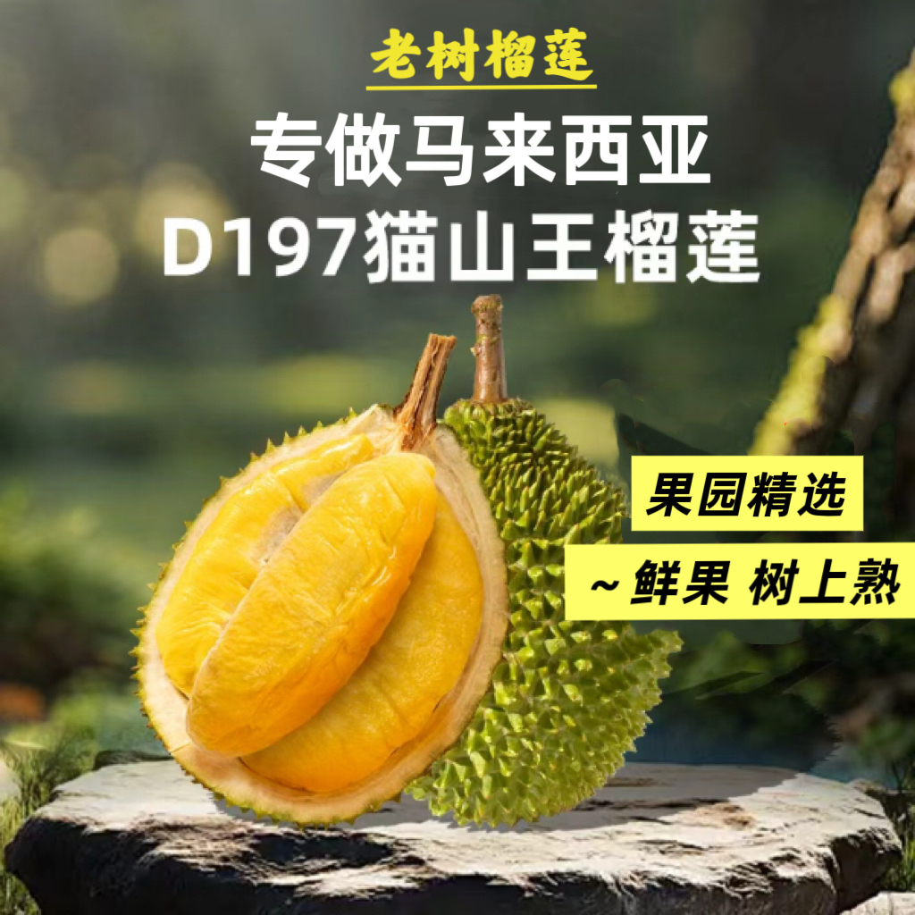《一物一拍》马来西亚猫山王榴莲 ｜ 新鲜树熟空运 ｜ 核大核小随机口感回甘 ｜ 3-15斤整果猫山王马来西亚