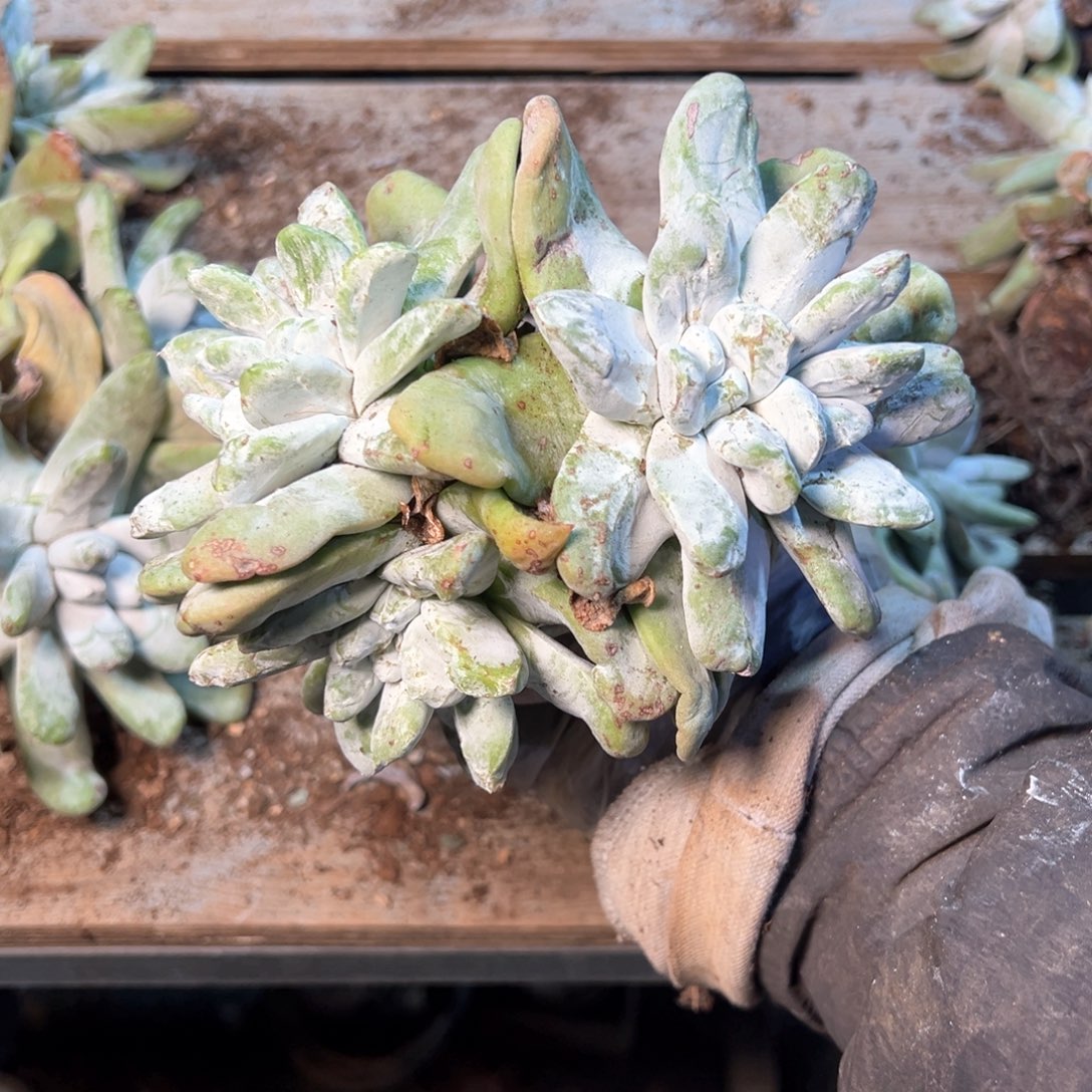 7458哈哈哈哈哈哈哈哈