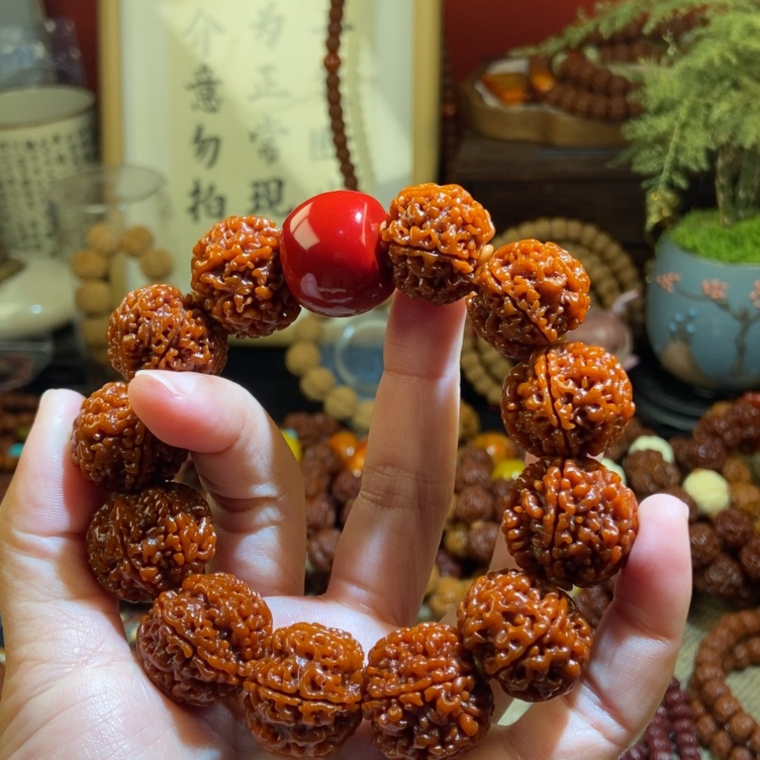 金刚菩提手串236玉化红