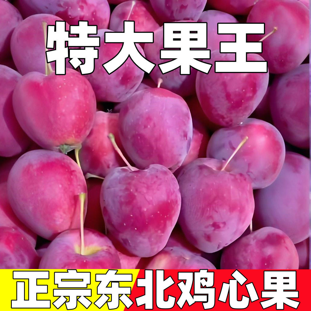 【精选】东北特产鸡心果锦绣海棠当季新鲜水果脆甜多汁酸甜可口水果