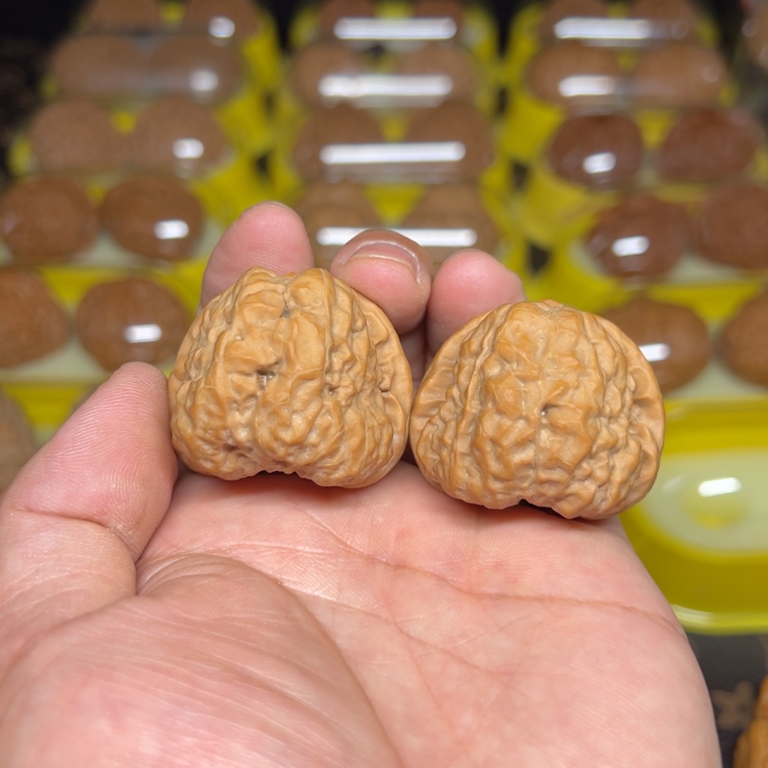 r****O蛤蟆头文玩核桃尺寸38