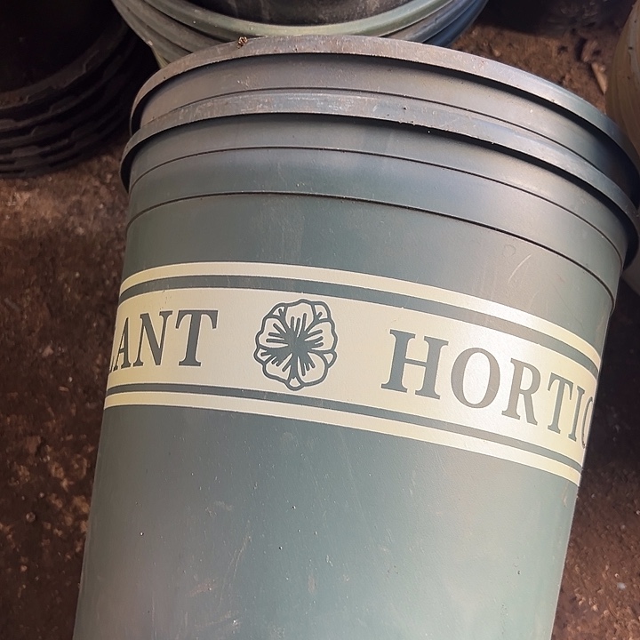 加仑盆口径22高21发6个