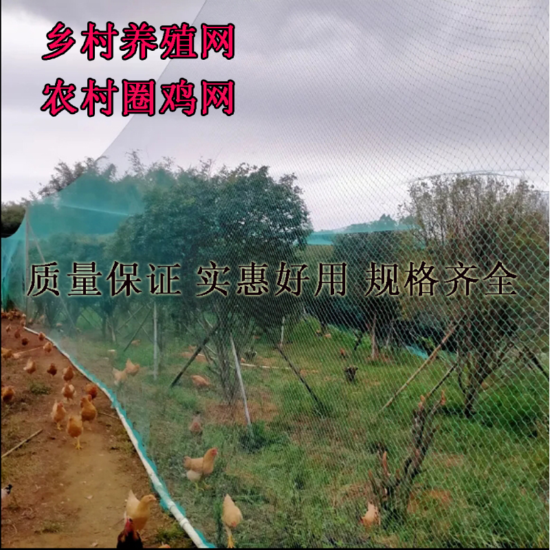 棚栏网 养殖网 圈网 结实耐用