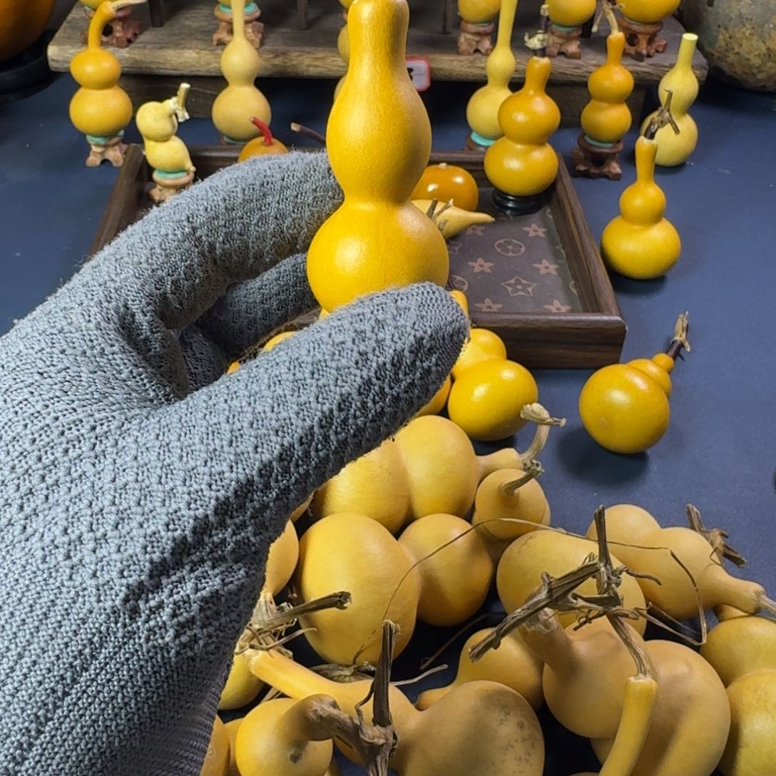 白***云直播间专项链接 请勿乱拍