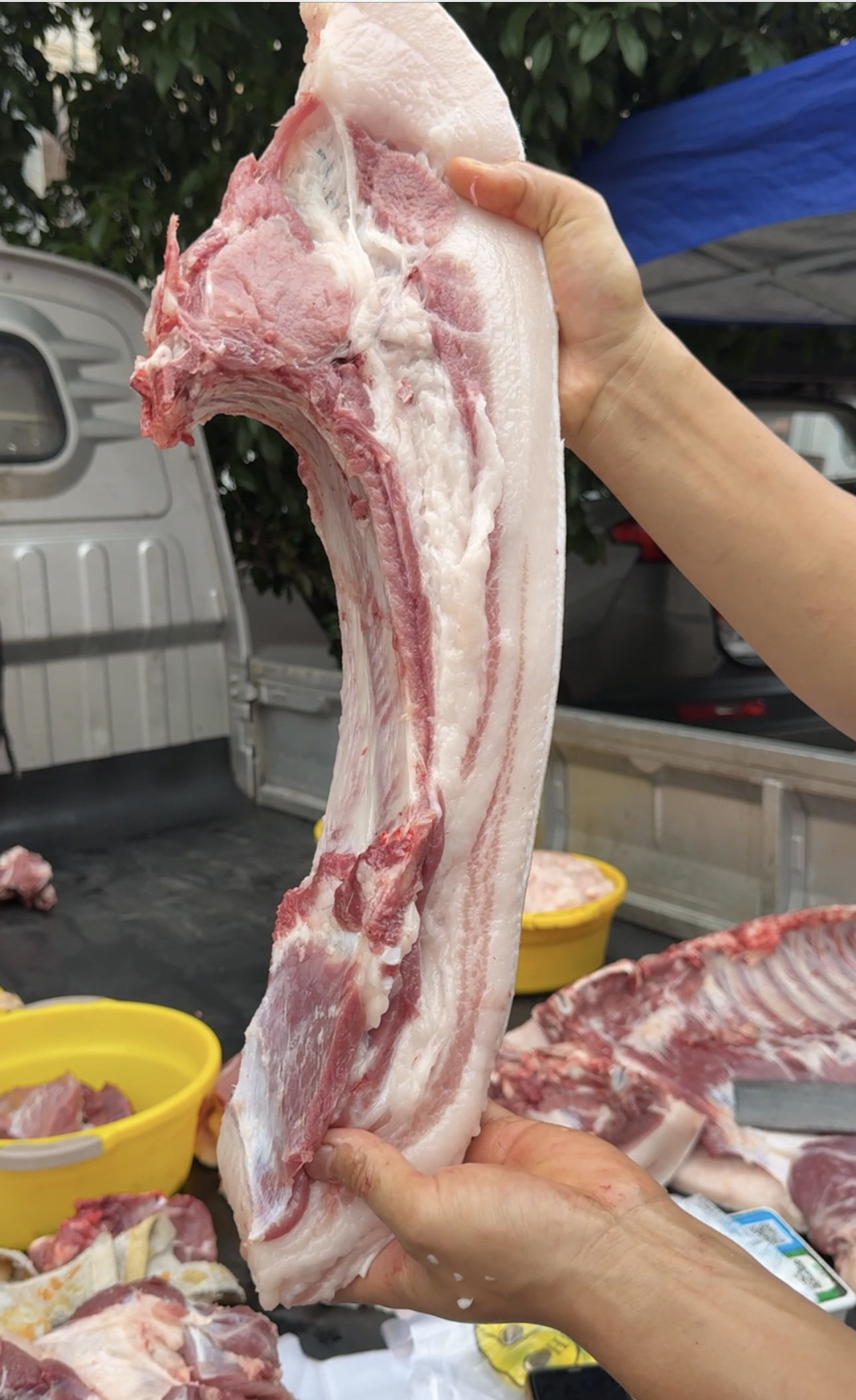 黑土猪高山散养农家熟食土猪肉【现称链接】