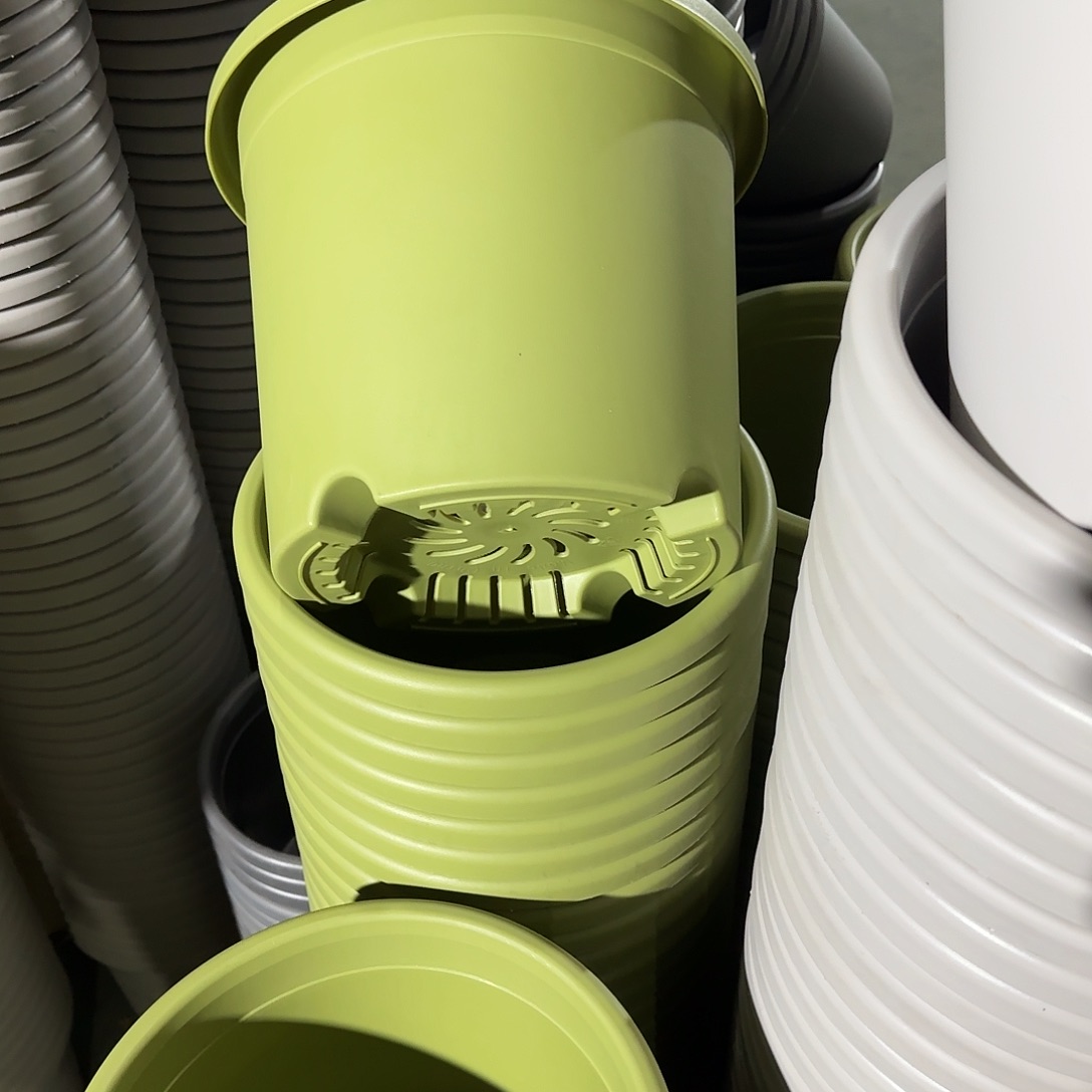 树脂微瑕5号6个无托，果绿