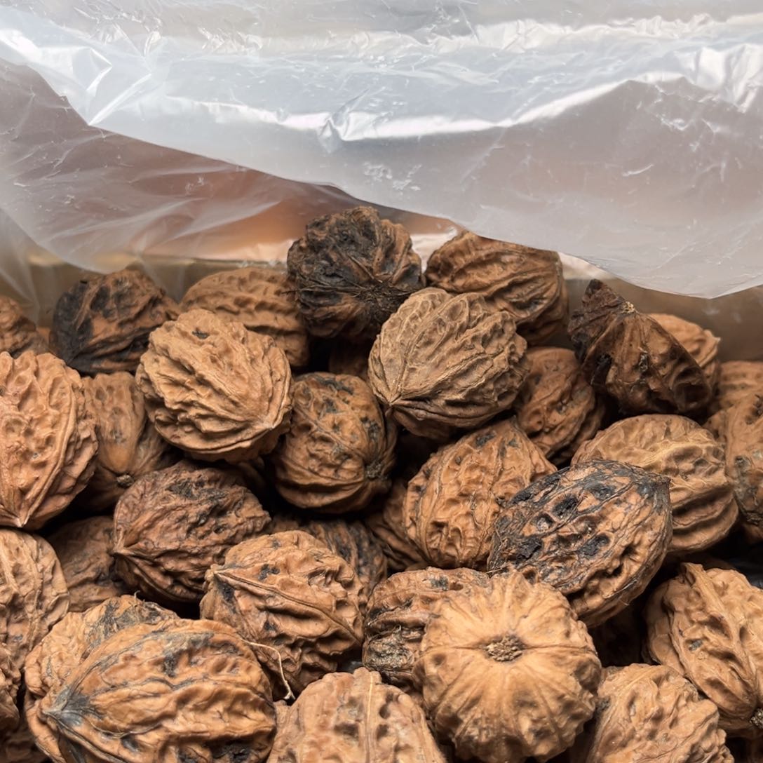 手串文玩核桃核桃97