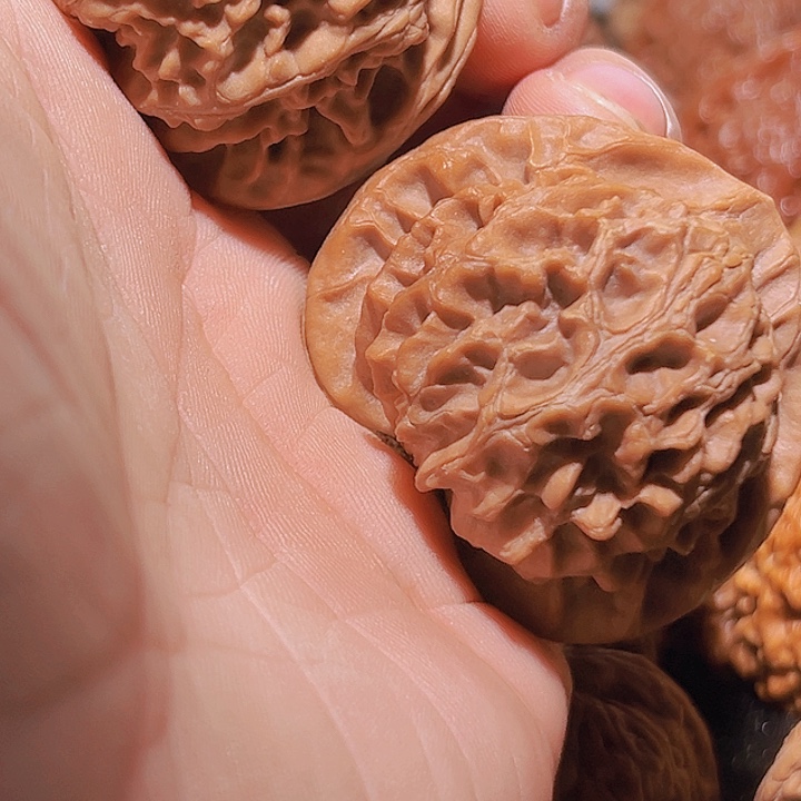 核桃其他2**9老树原装宫灯