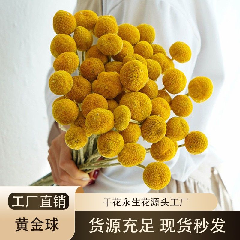 黄金球干花北欧软装家居装饰客厅摆设真花干果天然风干植物干花