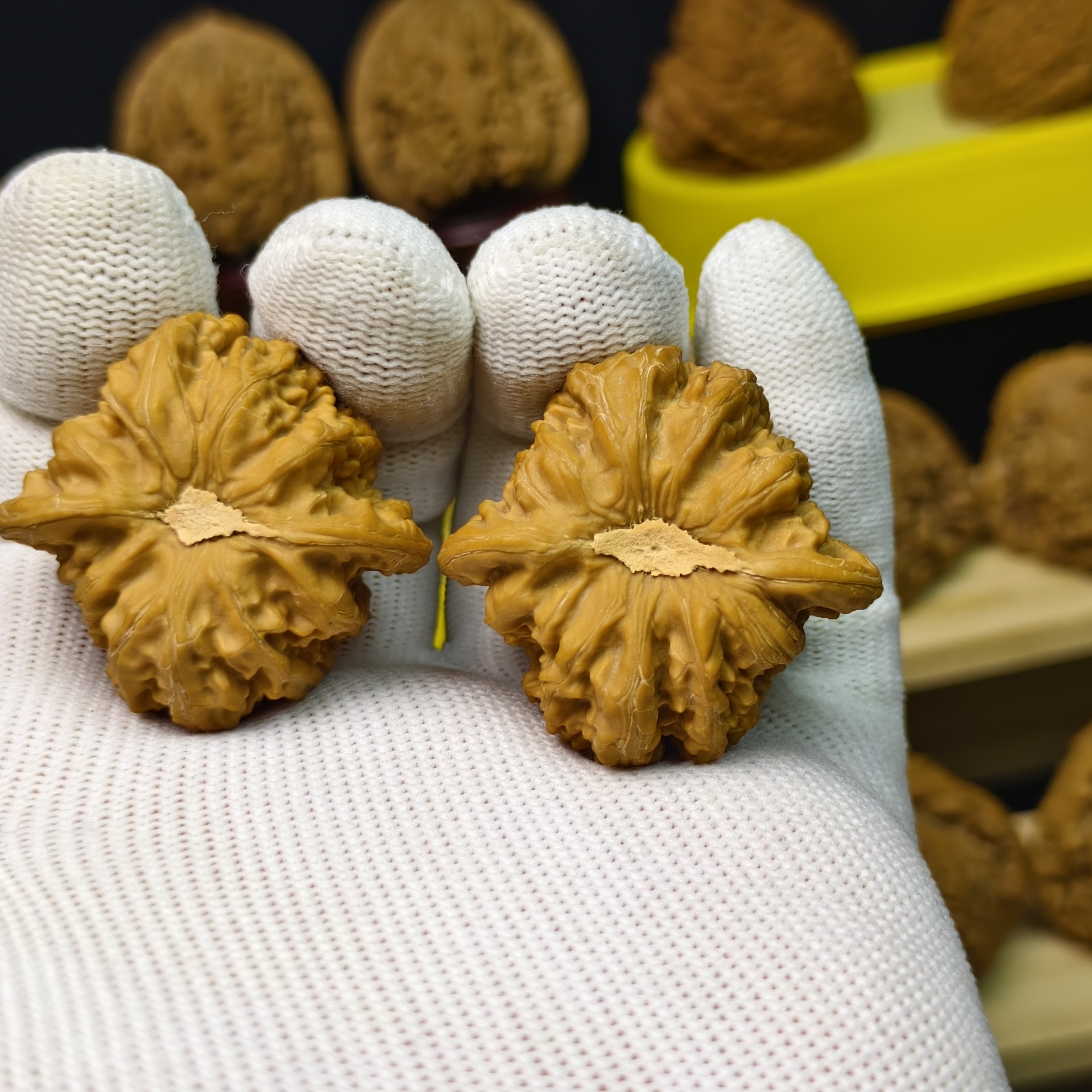 全品38承德密纹石膏底