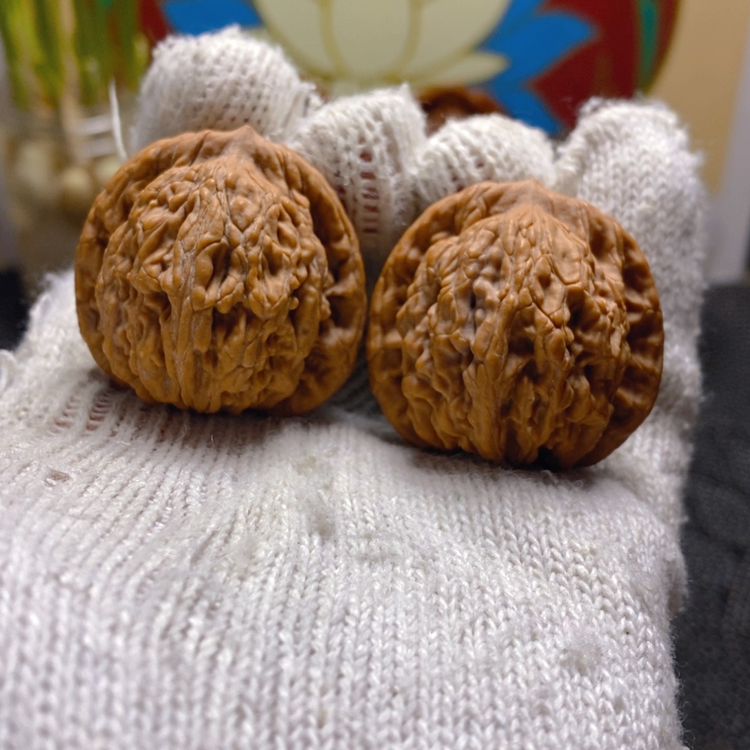 核桃虎头肉纹边36+肚子34