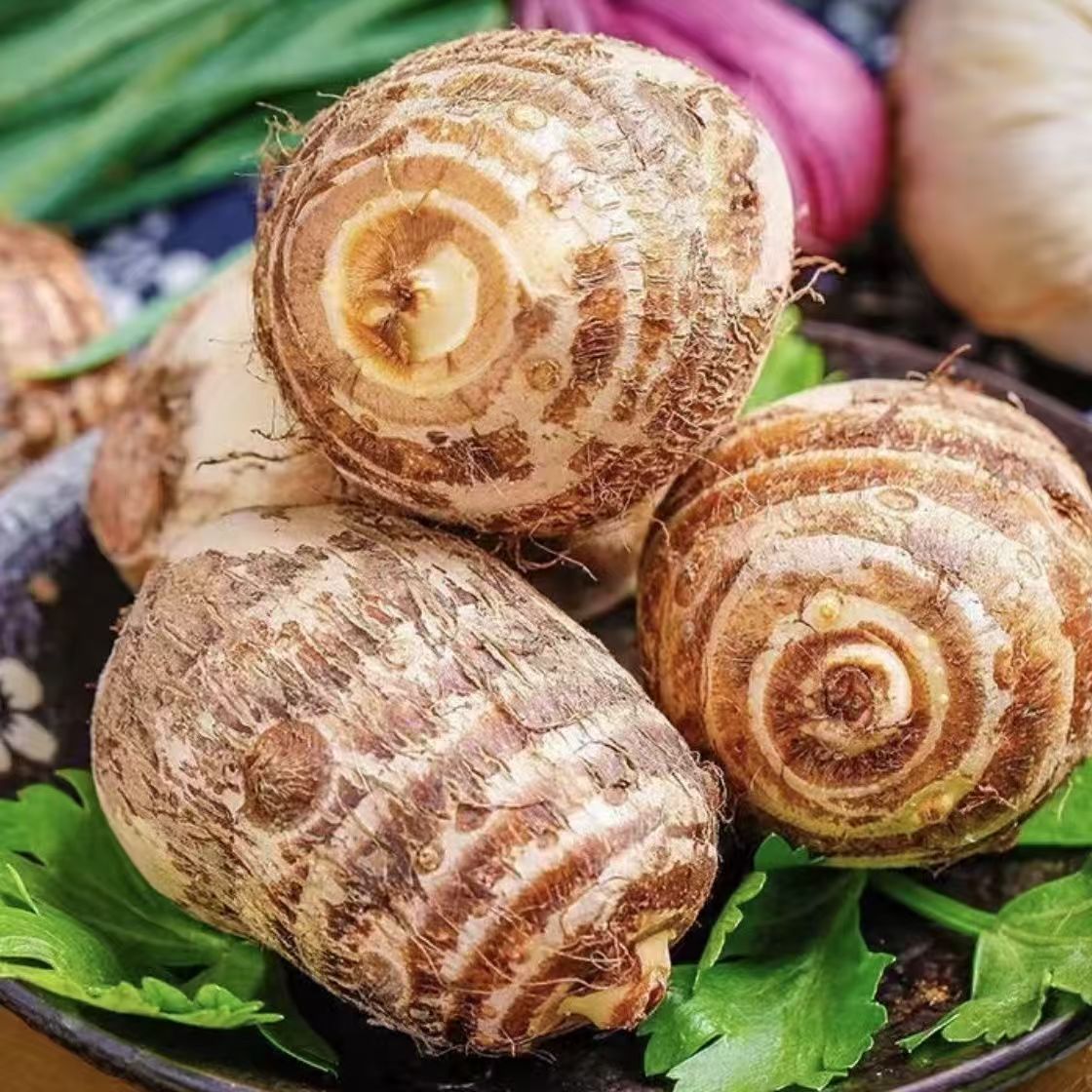 山东鲜芋头毛芋头新鲜农家应季芋艿香芋牛奶小芋头软糯奶芋头