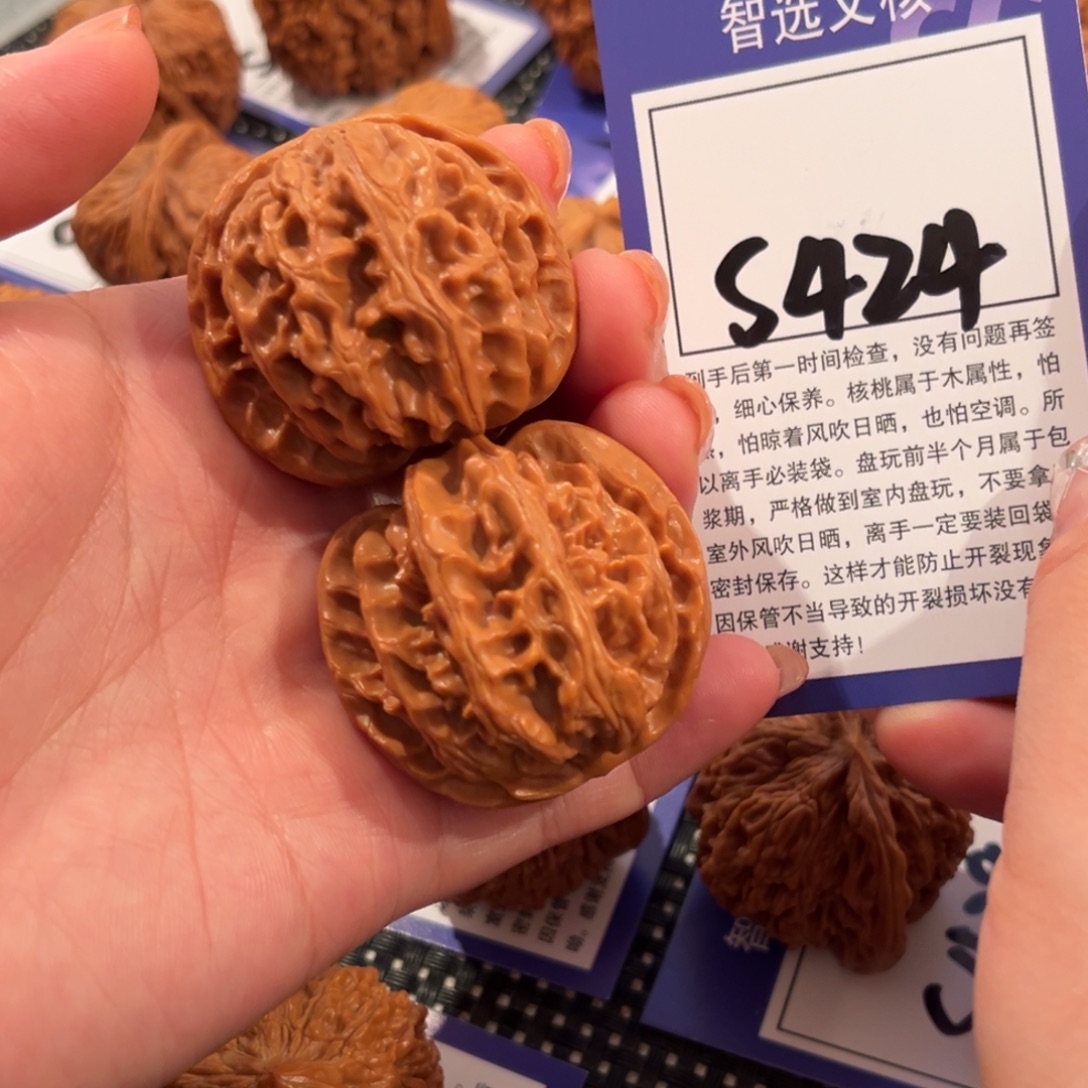 核桃S424号苹果园40尺