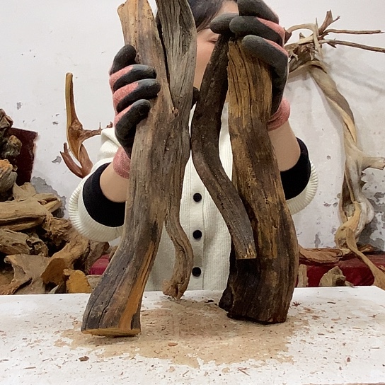 一***水柏木我们都是好孩子