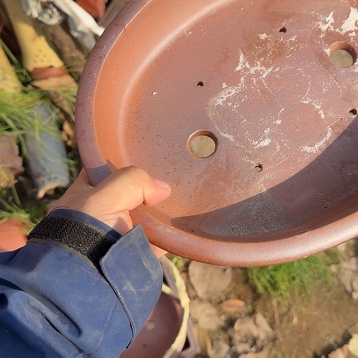 这就是为什么不可以说呢还是因为这个事