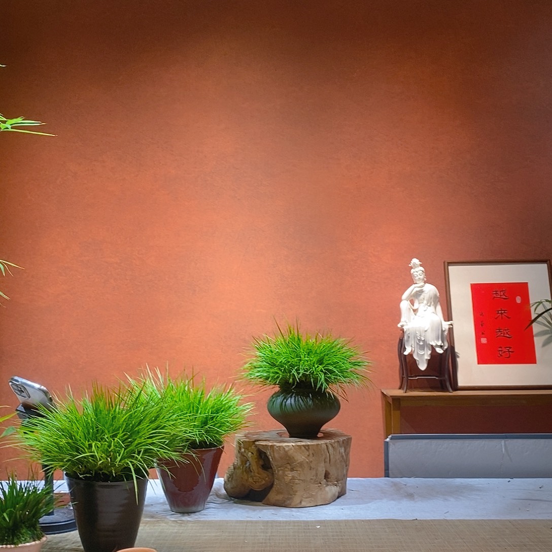 刘***馨无花朵老桩精品竹盆景（菖蒲）