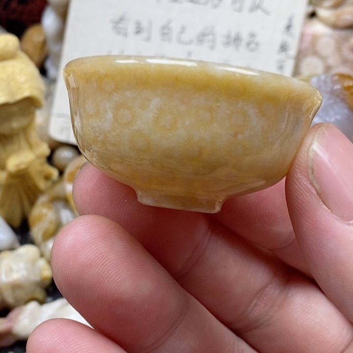 颈饰未镶嵌硅化珊瑚（珊瑚玉）