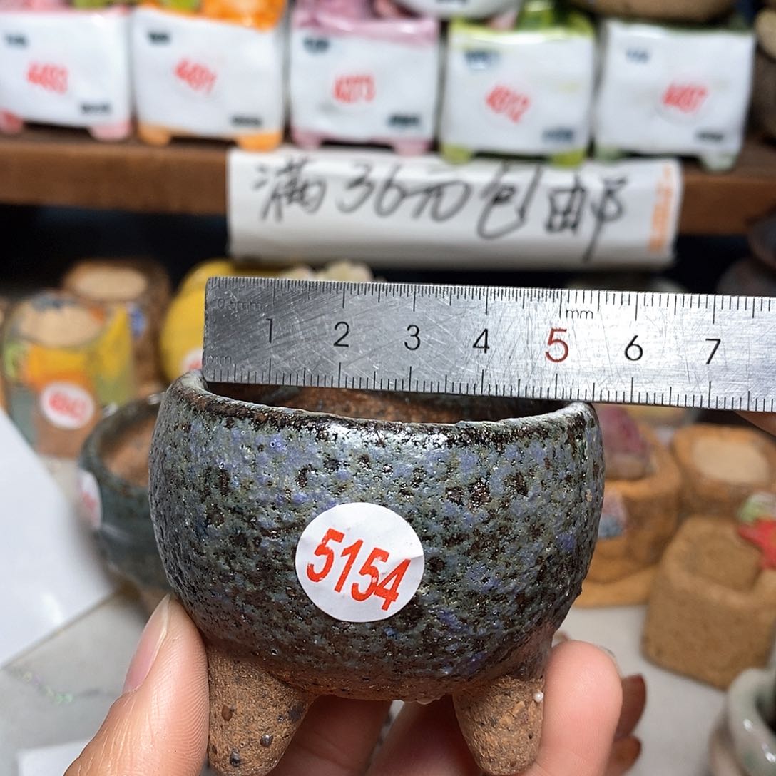 红陶拍5送一个小