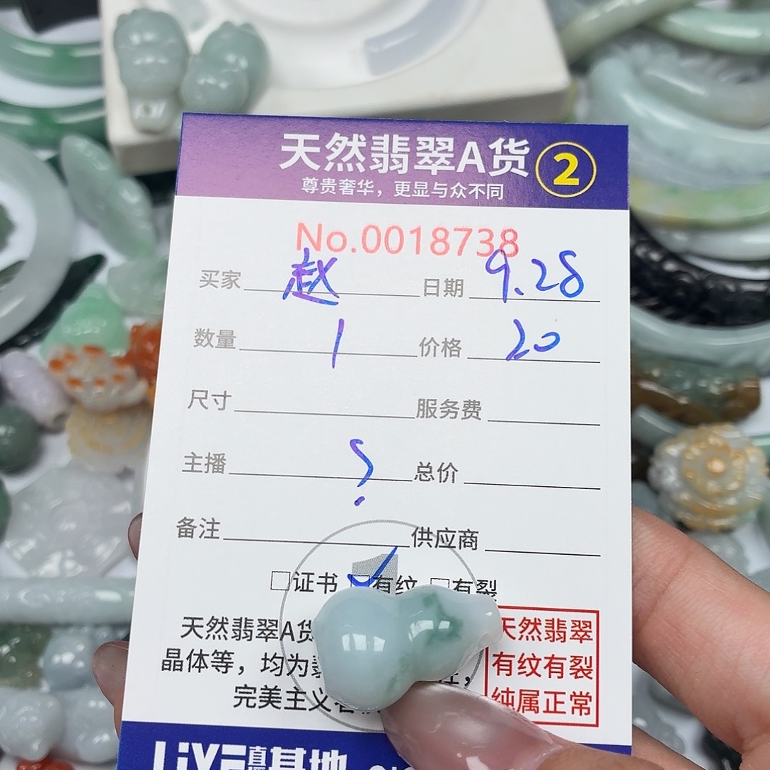 赵***姐翡翠未镶嵌颈饰24