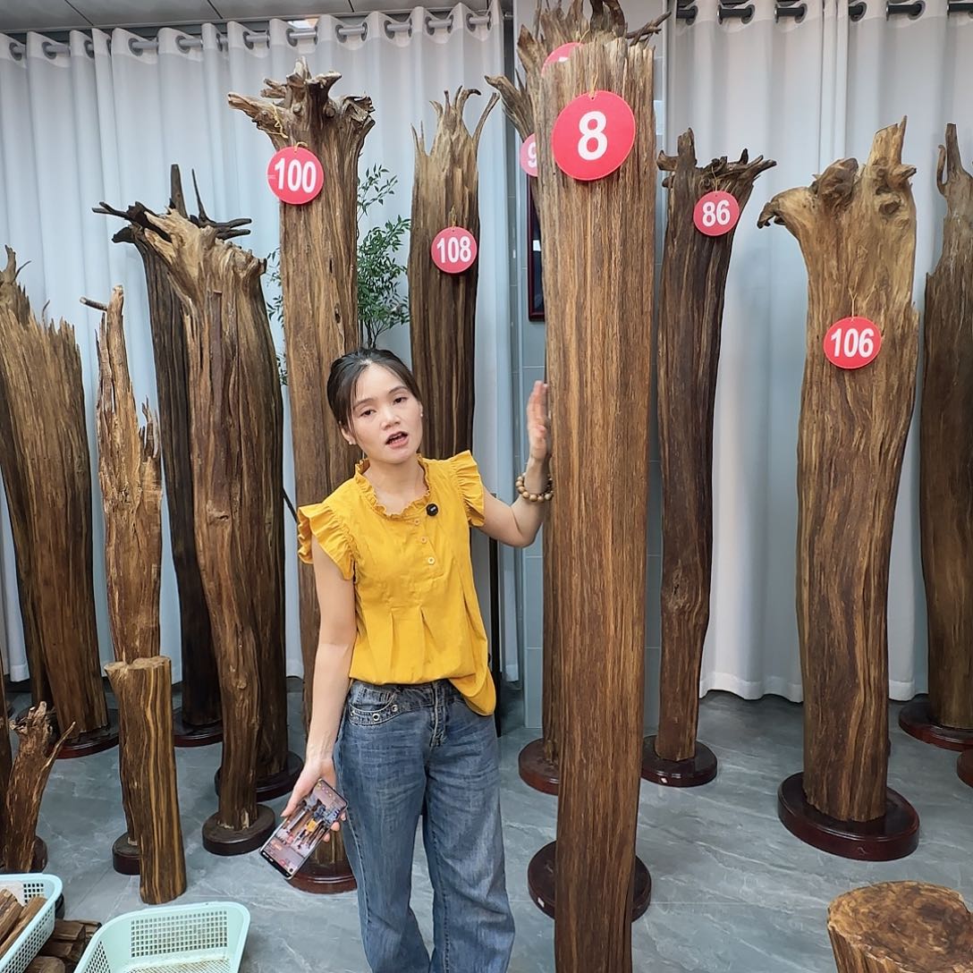 瓜***瓜沉香碎屑沉香沉香原料摆件沉香原料摆件