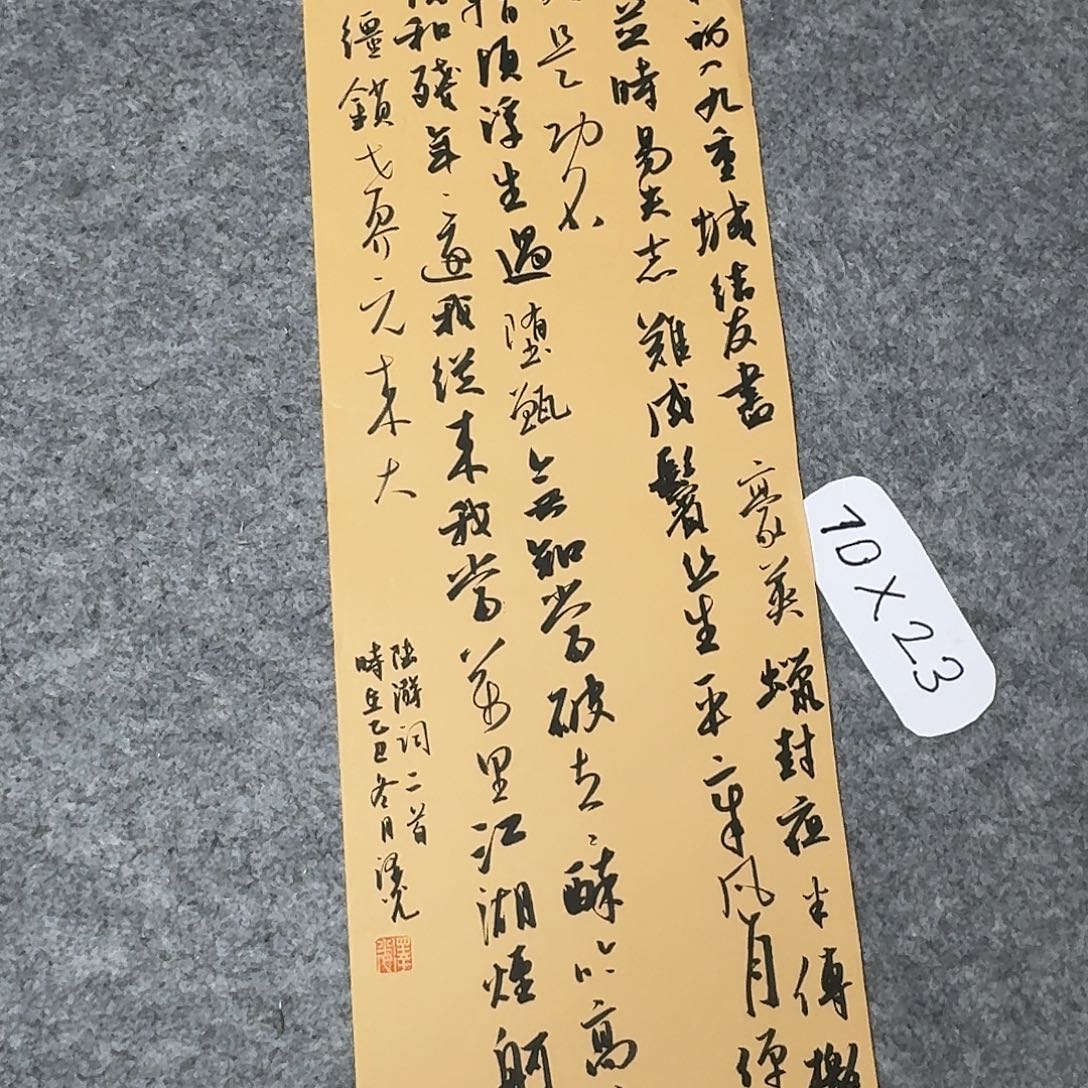 书法国展书家廖老师70×25
