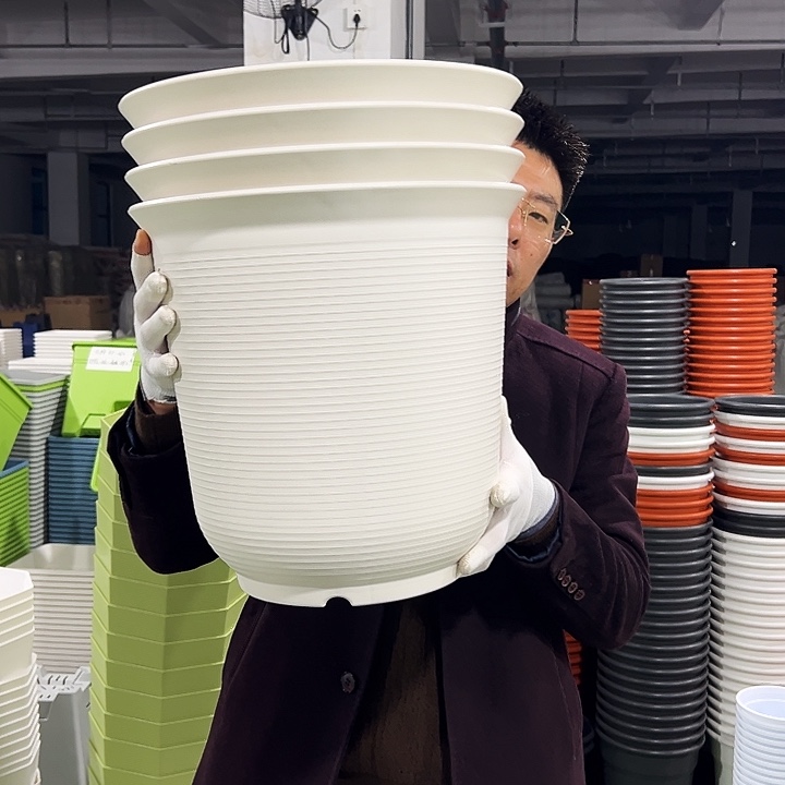 正品高陶口36高36白色2只无托