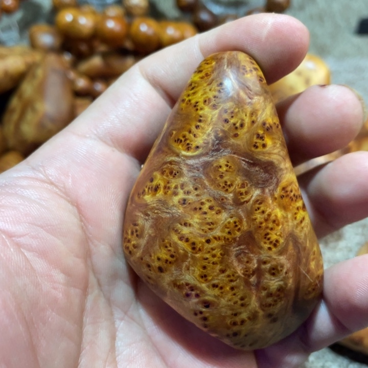 柏木（崖柏）其他把