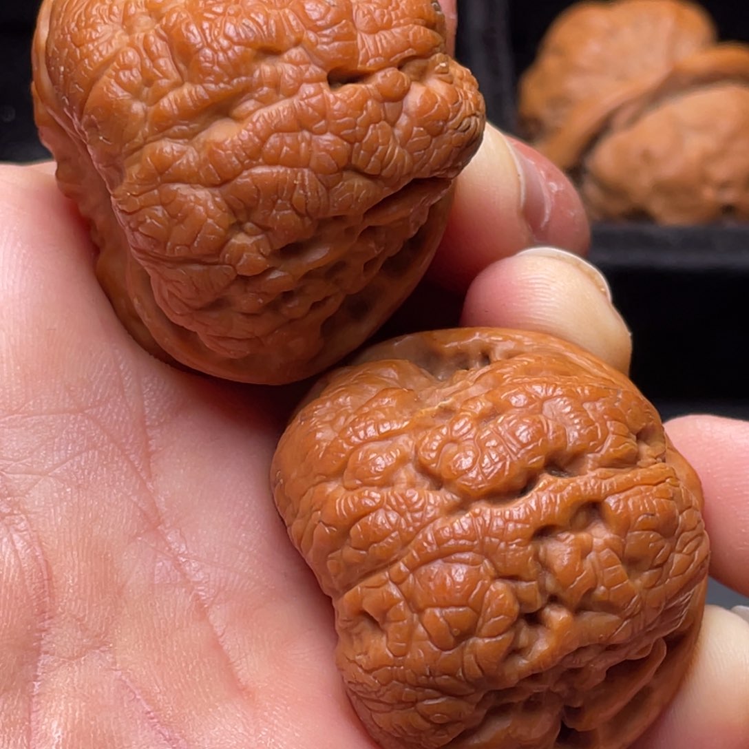 文玩核桃把件秦岭山脉核桃