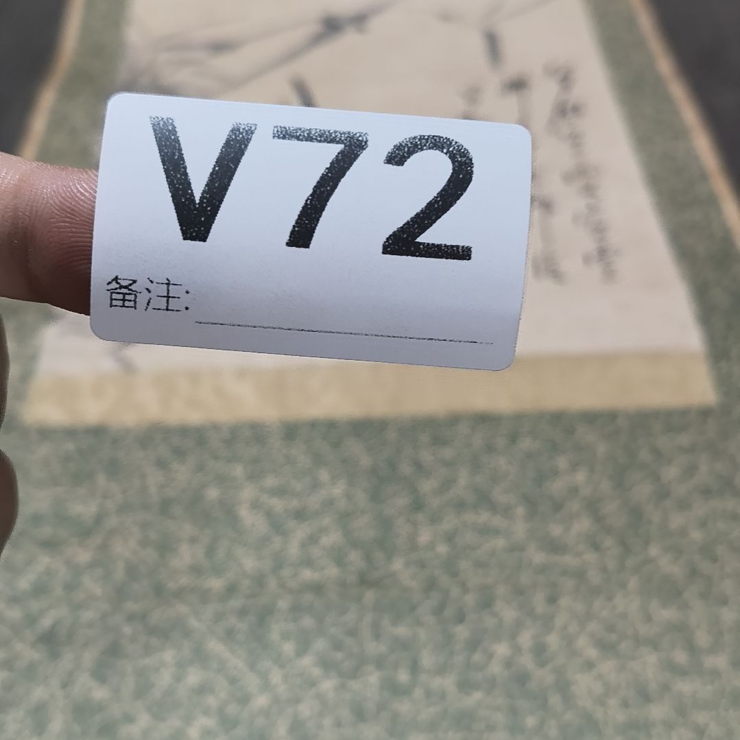 皖***水彩回流精品字画画