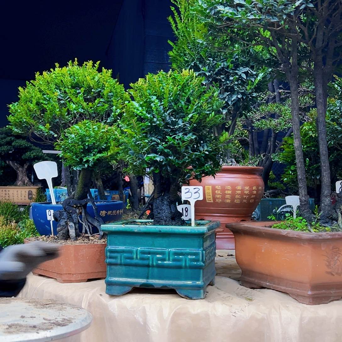 以实际为准蔡*亮