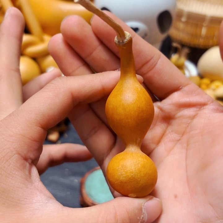 飠*?8888888889898888888888