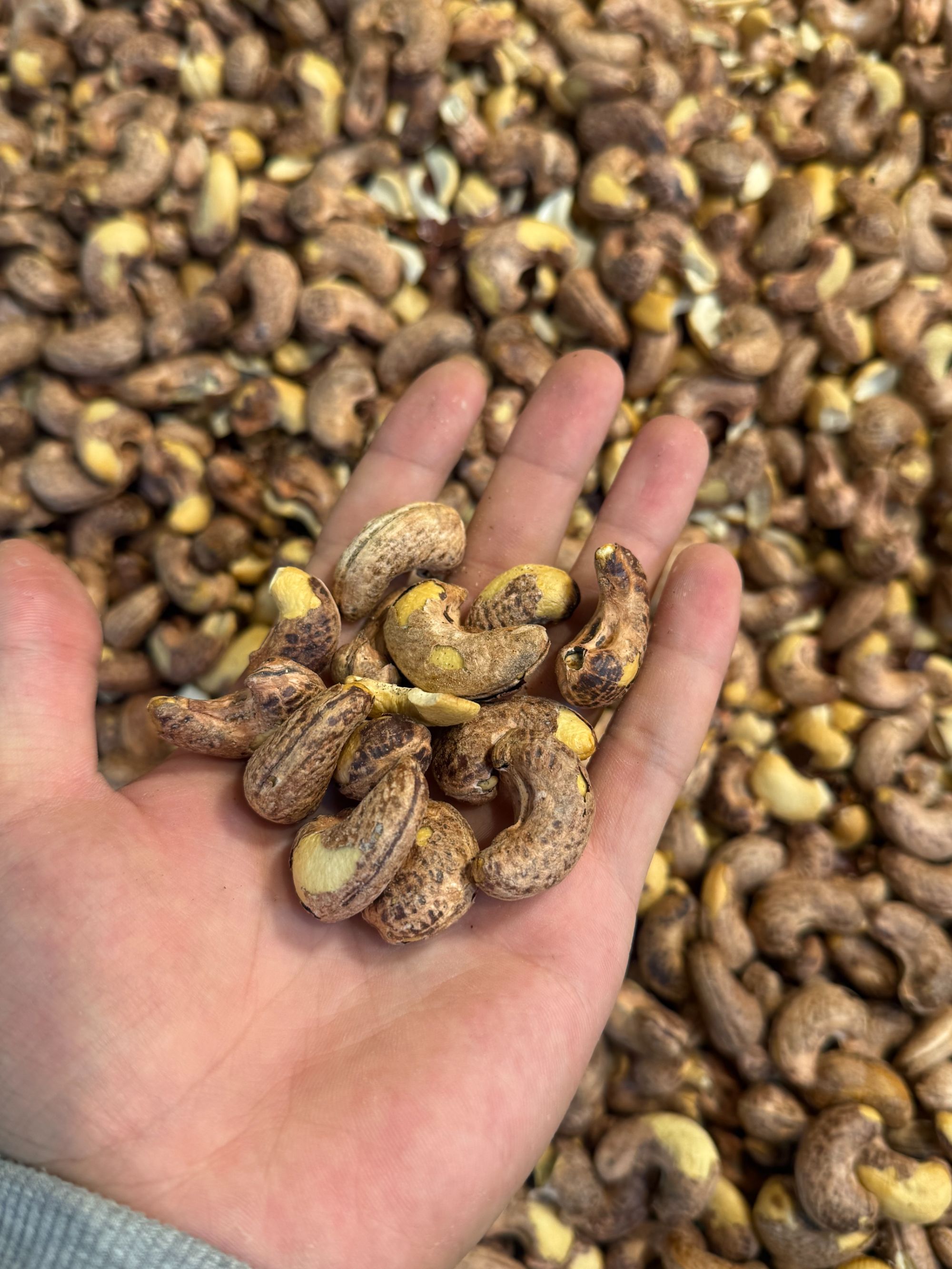 阿豪丝路甄果原味盐焗带皮腰果大颗粒腰果鲜香酥脆休闲坚果零食